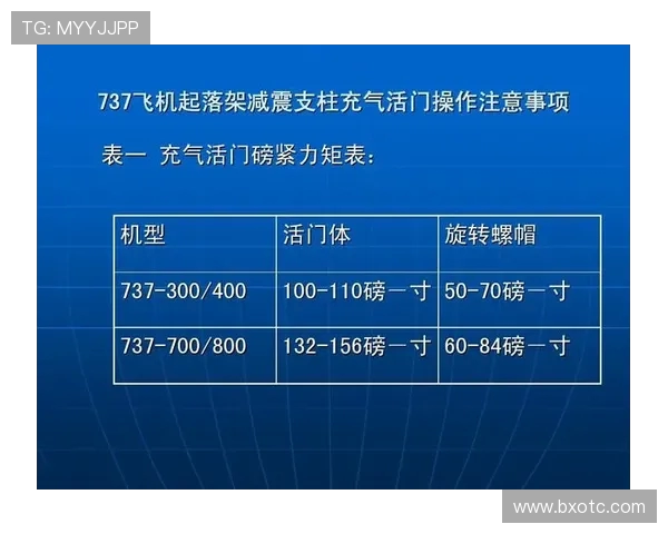 飞机起落架减震支柱油气压力校准