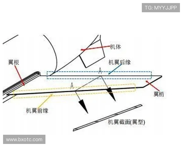 飞机机翼后掠角对跨音速飞行的影响
